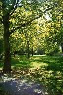 vergr&ouml;&szlig;ern � enlarge � agrandi