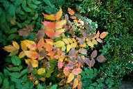 vergr&ouml;&szlig;ern � enlarge � agrandi