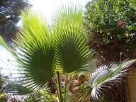 vergr&ouml;&szlig;ern &middot; enlarge &middot; agrandi