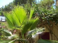 vergr&ouml;&szlig;ern &middot; enlarge &middot; agrandi