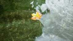 vergr&ouml;&szlig;ern � enlarge � agrandi