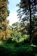 vergr&ouml;&szlig;ern � enlarge � agrandi