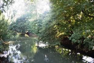 Zur Galerie &middot; Enter gallery