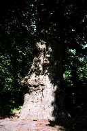 vergr&ouml;&szlig;ern � enlarge � agrandi